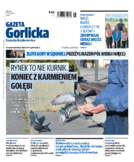 Tyg. Gazeta Gorlicka