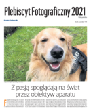 Plebiscyt