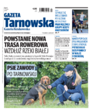 Tyg. Gazeta Tarnowska