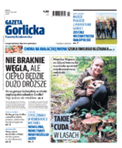 Tyg. Gazeta Gorlicka