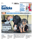 Tyg. Gazeta Gorlicka