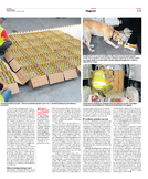 Kurier Poranny/grzbiet zimny