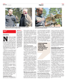 Kurier Poranny/grzbiet zimny
