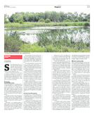 Kurier Poranny/grzbiet zimny