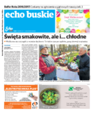 Echo Buskie