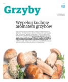 dodatek specjalny do grzbietu głównego 1