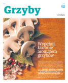 dodatek specjalny do grzbietu głównego 1