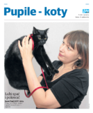 dodatek specjalny do grzbietu głównego 2