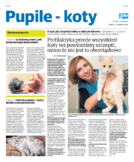 dodatek specjalny do grzbietu głównego 1
