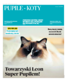 dodatek specjalny do grzbietu głównego 1