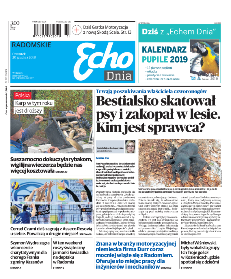 Echo Dnia