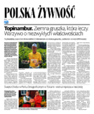 dodatek komercyjny 2