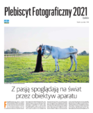 Plebiscyt