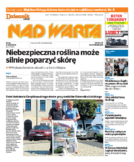 Tyg. Nad Wartą