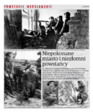 dodatek specjalny do grzbietu głównego