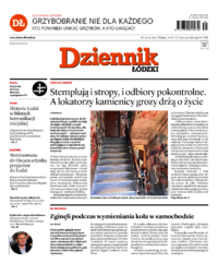 Dziennik Łódzki