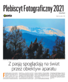 Plebiscyt