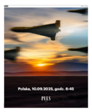 Puls