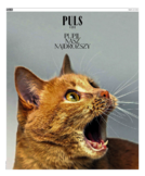 Puls