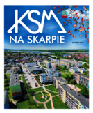 dodatek komercyjny 3